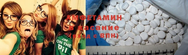 шишки Дмитриев