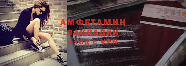 шишки Дмитриев