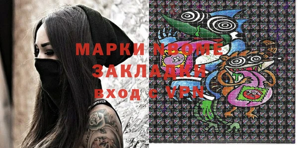 шишки Дмитриев