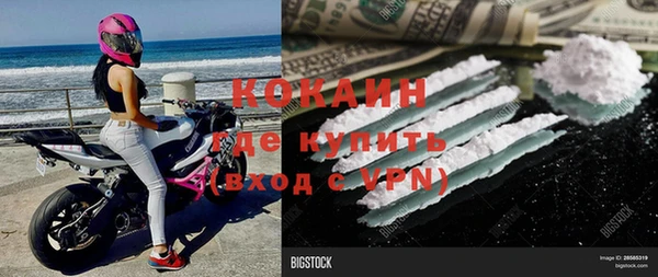 шишки Дмитриев