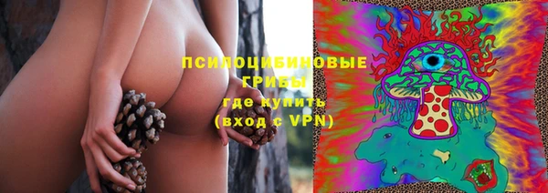шишки Дмитриев