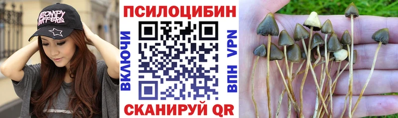 Галлюциногенные грибы MAGIC MUSHROOMS  Мценск 