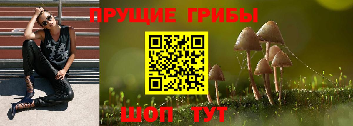 Псилоцибиновые грибы мухоморы  Вход с VPN  Псилоцибиновые грибы Magic Shrooms  Мценск 